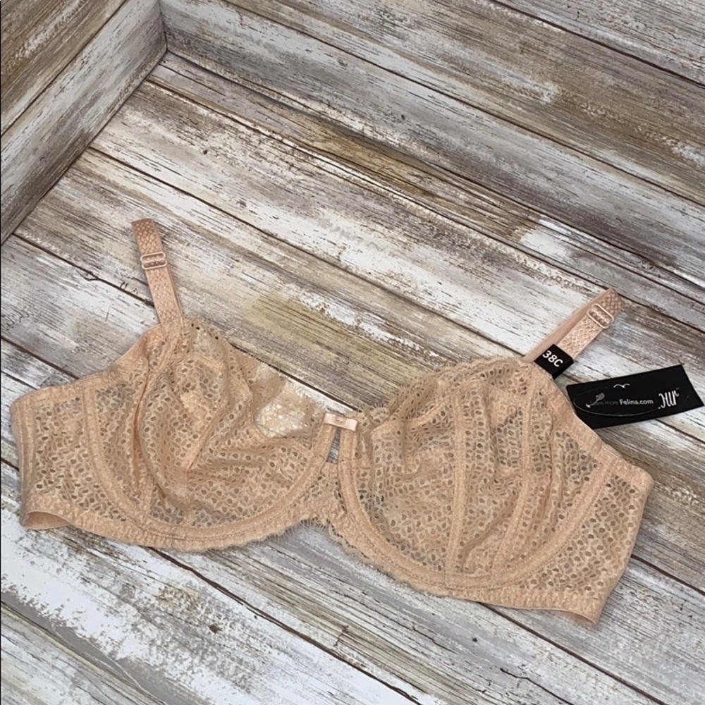 Paramour Bras 38C (1 sugarbaby and 1 black)